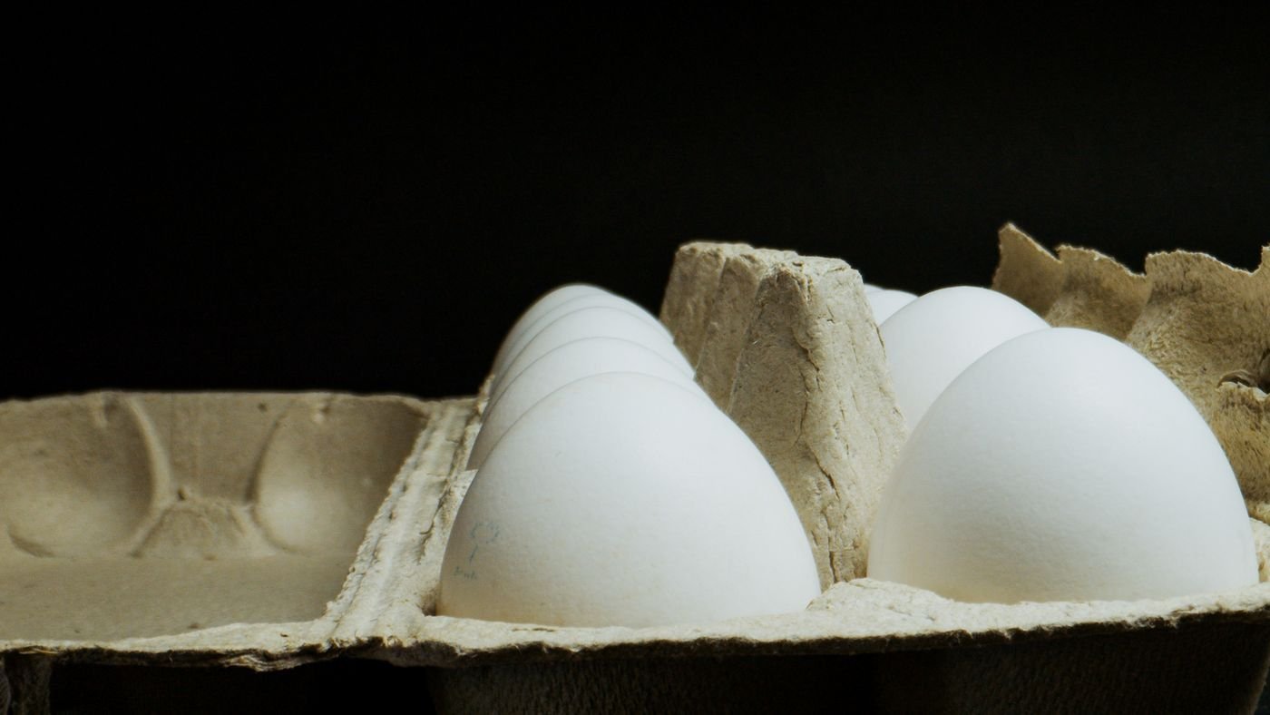 Huevos blancos acomodados en caja de cartón vacía directo de fábrica